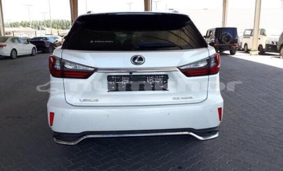 Buy Used Lexus RX 350 White Car in Damphu in Chirang Buy Used Lexus RX 350 White Car in Damphu in Chirang