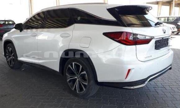 Buy Used Lexus RX 350 White Car in Damphu in Chirang Buy Used Lexus RX 350 White Car in Damphu in Chirang