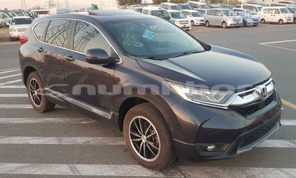 Buy Import Honda C Other Bike in Import - Dubai in Bumthang Buy Import Honda C Other Bike in Import - Dubai in Bumthang