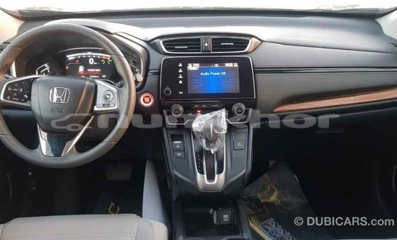 Buy Import Honda C Other Bike in Import - Dubai in Bumthang Buy Import Honda C Other Bike in Import - Dubai in Bumthang