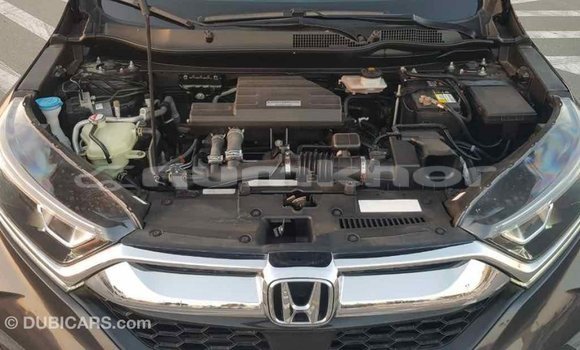 Buy Import Honda C Other Bike in Import - Dubai in Bumthang