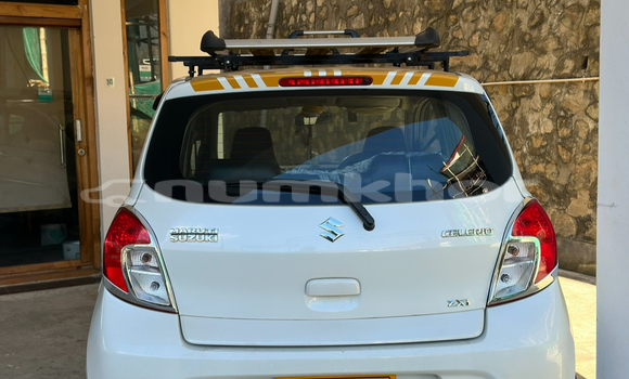 Buy Used Suzuki Celerio White Car in Thimphu in Timphu Buy Used Suzuki Celerio White Car in Thimphu in Timphu