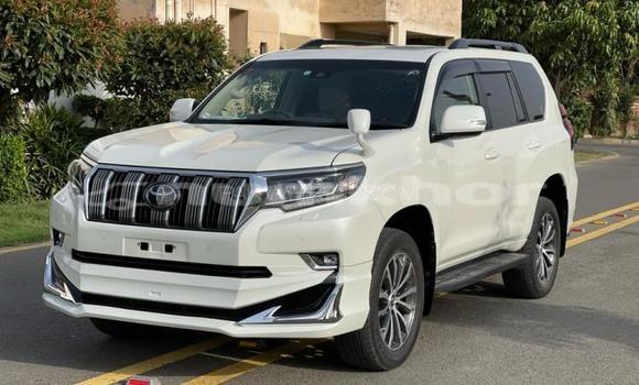 Buy Used Toyota Land Cruiser Prado White Car in Chhukha in Chhukha