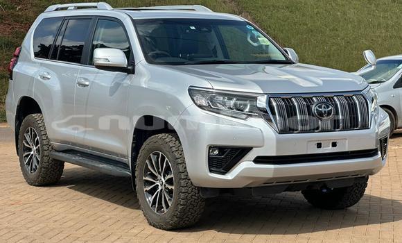 Buy Used Toyota Land Cruiser Prado White Car in Chhukha in Chhukha Buy Used Toyota Land Cruiser Prado White Car in Chhukha in Chhukha