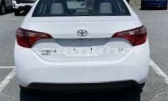 Buy Used Toyota Corolla White Car in Lhuntshi in Lhuntshi