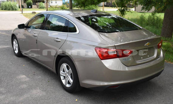 Buy Used Chevrolet Malibu Other Car in Thimphu in Timphu Buy Used Chevrolet Malibu Other Car in Thimphu in Timphu
