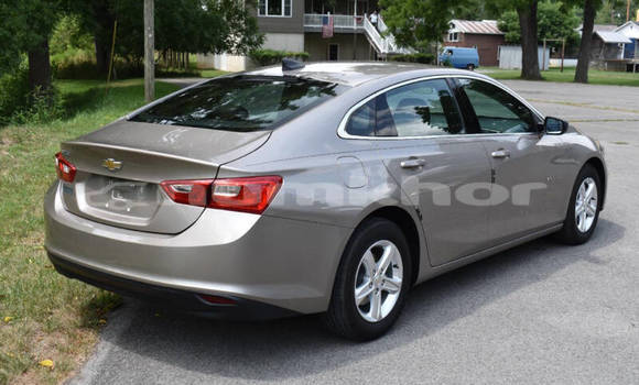 Buy Used Chevrolet Malibu Other Car in Thimphu in Timphu Buy Used Chevrolet Malibu Other Car in Thimphu in Timphu
