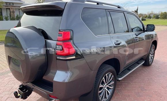 Buy Used Toyota Land Cruiser Prado Blue Car in Thimphu in Timphu Buy Used Toyota Land Cruiser Prado Blue Car in Thimphu in Timphu