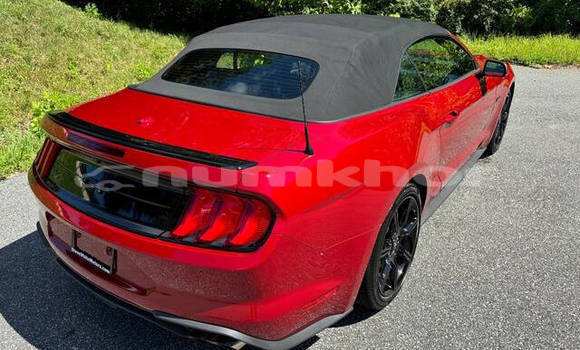 Buy Used Ford Mustang Red Car in Thimphu in Timphu Buy Used Ford Mustang Red Car in Thimphu in Timphu
