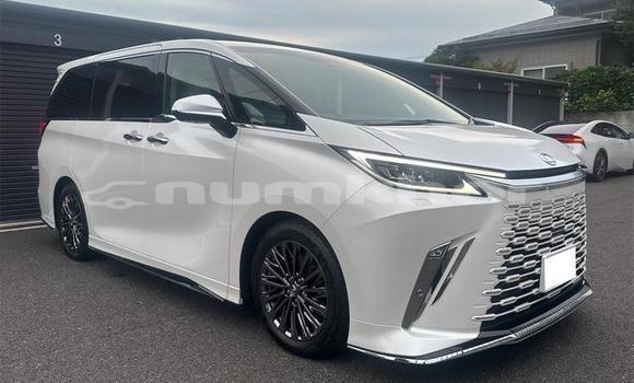 Buy Used Lexus LC White Car in Thimphu in Timphu