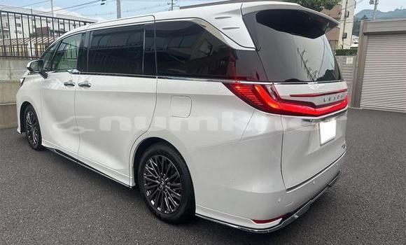 Buy Used Lexus LC White Car in Thimphu in Timphu Buy Used Lexus LC White Car in Thimphu in Timphu