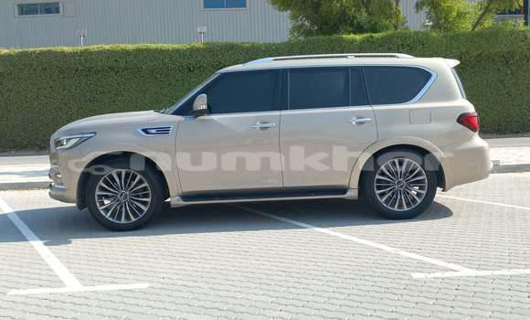 Buy Used Infiniti QX80 Other Car in Thimphu in Timphu Buy Used Infiniti QX80 Other Car in Thimphu in Timphu