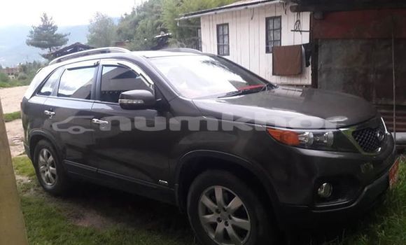 Buy Used Kia Sorento Other Car in Thimphu in Timphu