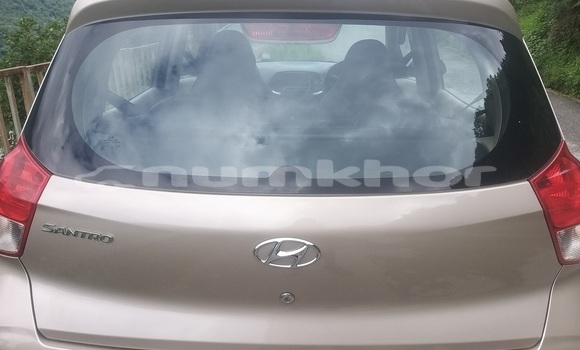 Buy Used Hyundai Santamo Beige Car in Taga Dzong in Daga