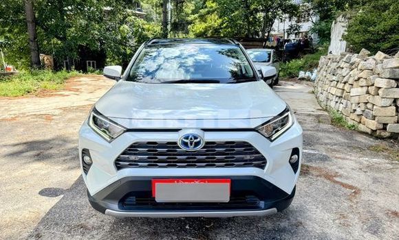 Buy Used Toyota RAV4 Other Car in Gasa in Punakha