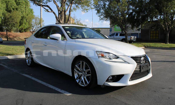 Buy Used Lexus IS White Car in Thimphu in Timphu