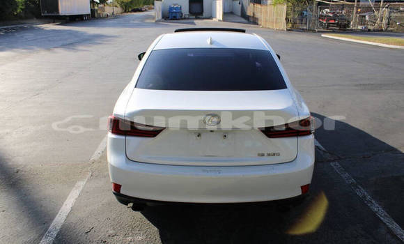 Buy Used Lexus IS White Car in Thimphu in Timphu Buy Used Lexus IS White Car in Thimphu in Timphu