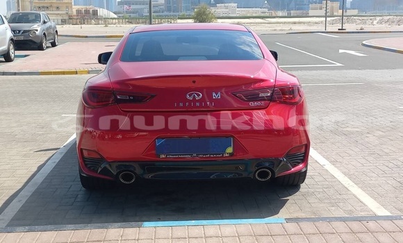 Buy Used Infiniti Q60 Red Car in Thimphu in Timphu Buy Used Infiniti Q60 Red Car in Thimphu in Timphu