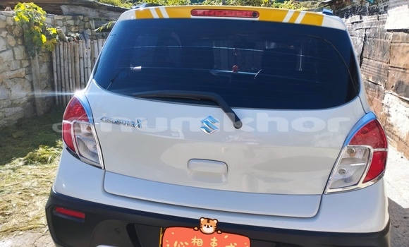 Buy Used Suzuki Celerio White Car in Thimphu in Timphu Buy Used Suzuki Celerio White Car in Thimphu in Timphu