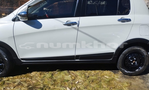 Buy Used Suzuki Celerio White Car in Thimphu in Timphu Buy Used Suzuki Celerio White Car in Thimphu in Timphu
