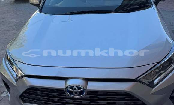 Buy Used Toyota RAV4 Silver Car in Jakar in Bumthang Buy Used Toyota RAV4 Silver Car in Jakar in Bumthang