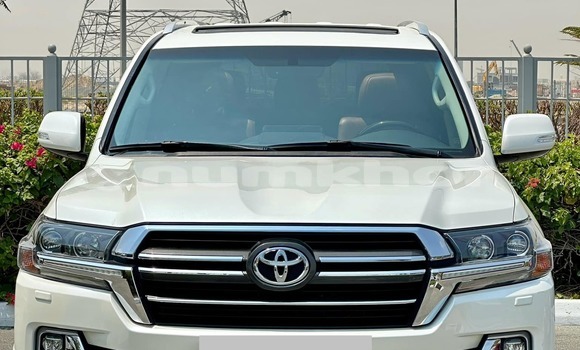 Buy Used Toyota Land Cruiser White Car in Ha in Ha