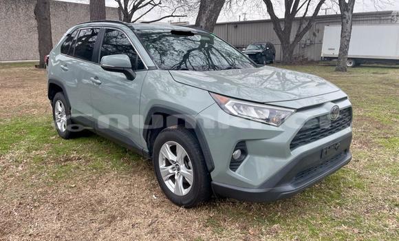 Buy Used Toyota RAV4 Green Car in Import - Dubai in Bumthang