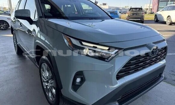 Buy Used Toyota RAV4 Other Car in Gasa in Punakha