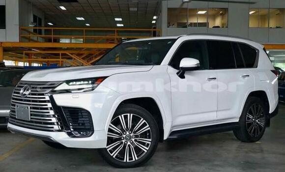 Buy Used Lexus LX White Car in Thimphu in Timphu