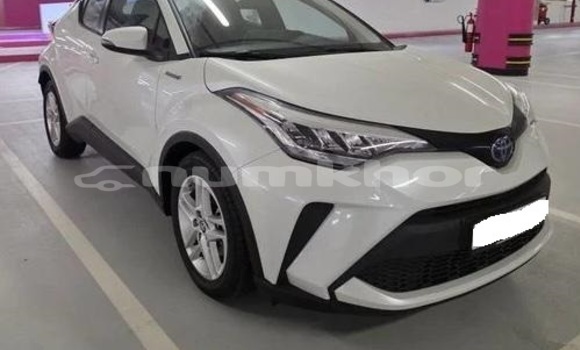 Buy Used Toyota C-HR White Car in Thimphu in Timphu