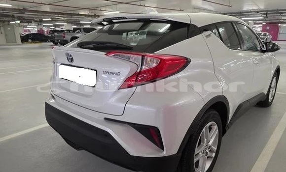 Buy Used Toyota C-HR White Car in Thimphu in Timphu Buy Used Toyota C-HR White Car in Thimphu in Timphu