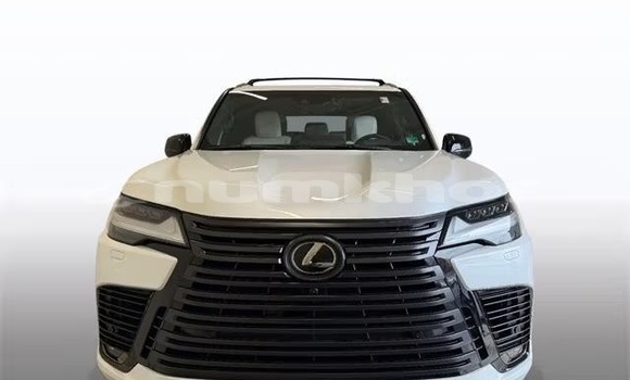 Buy Used Lexus LX White Car in Thimphu in Timphu