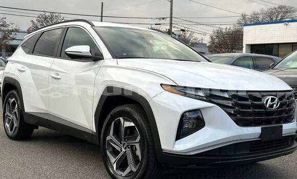 Buy Used Hyundai Tucson White Car in Thimphu in Timphu