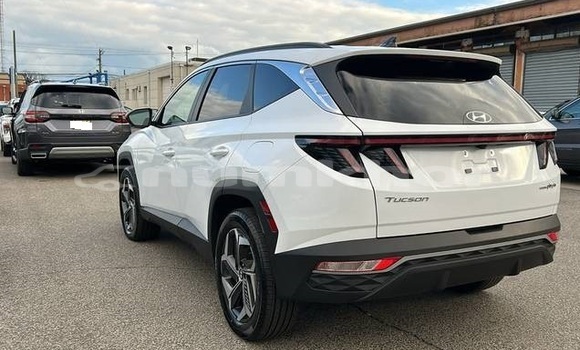 Buy Used Hyundai Tucson White Car in Thimphu in Timphu Buy Used Hyundai Tucson White Car in Thimphu in Timphu