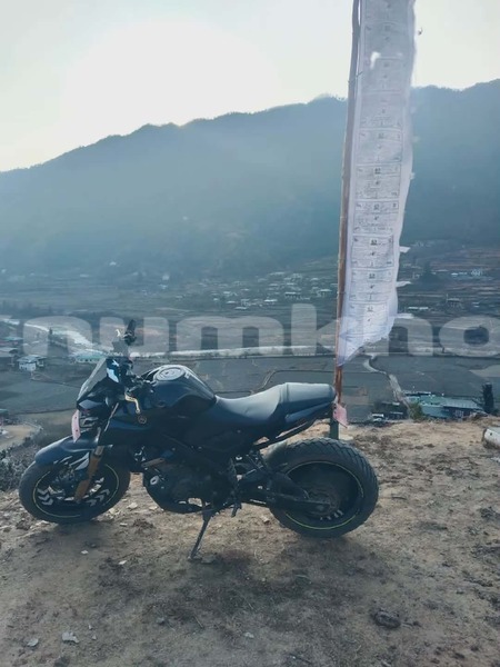 Big with watermark mtt y2k rinpung paro 4879