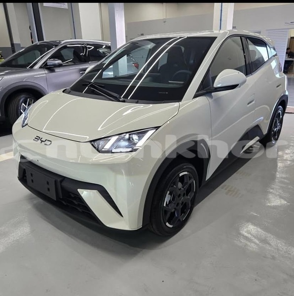 Big with watermark byd s6 timphu thimphu 4880