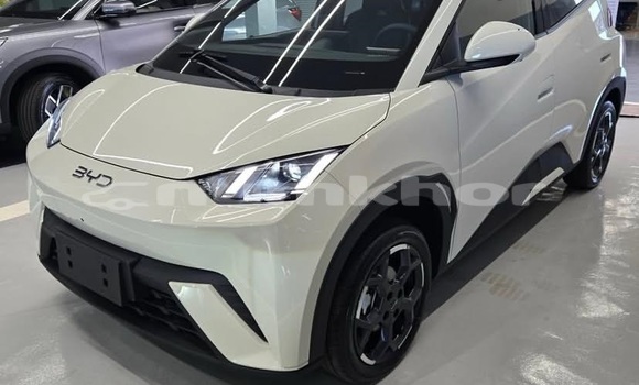 Buy Used BYD S6 White Car in Thimphu in Timphu