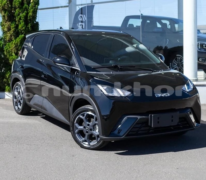 Big with watermark byd s6 timphu thimphu 4880