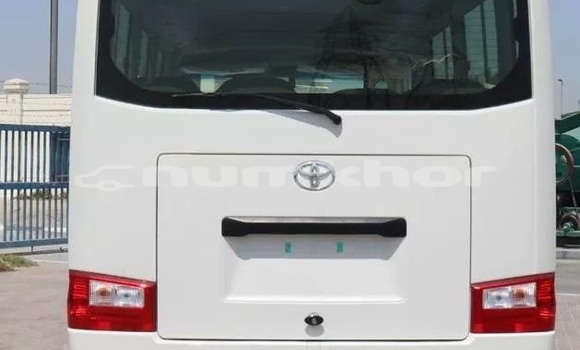 Buy Used Toyota Coaster White Car in Thimphu in Timphu Buy Used Toyota Coaster White Car in Thimphu in Timphu