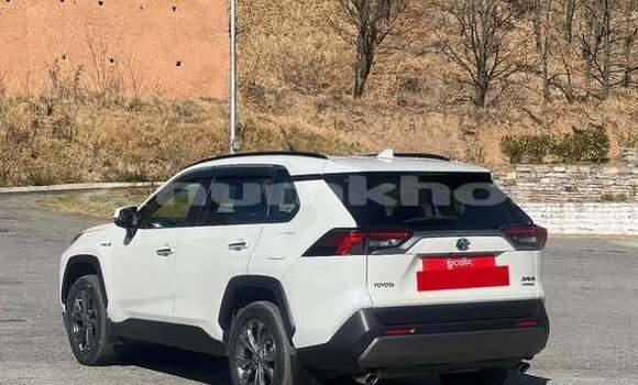 Buy Used Toyota RAV4 Other Car in Gasa in Punakha
