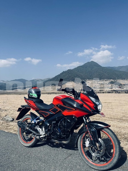 Big with watermark bajbaj pulsar wangdiphodrang wangdiphodrang 4913