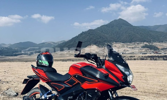 Buy Used Bajbaj Pulsar Red Bike in Wangdiphodrang in Wangdiphodrang Buy Used Bajbaj Pulsar Red Bike in Wangdiphodrang in Wangdiphodrang