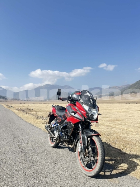 Big with watermark bajbaj pulsar wangdiphodrang wangdiphodrang 4913