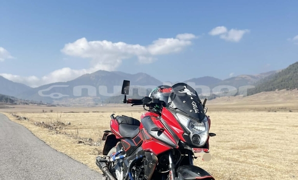 Buy Used Bajbaj Pulsar Red Bike in Wangdiphodrang in Wangdiphodrang Buy Used Bajbaj Pulsar Red Bike in Wangdiphodrang in Wangdiphodrang