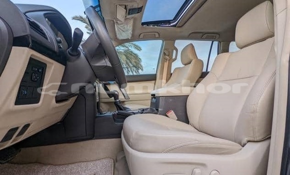 Buy Used Toyota Land Cruiser Prado Other Car in Thimphu in Timphu Buy Used Toyota Land Cruiser Prado Other Car in Thimphu in Timphu