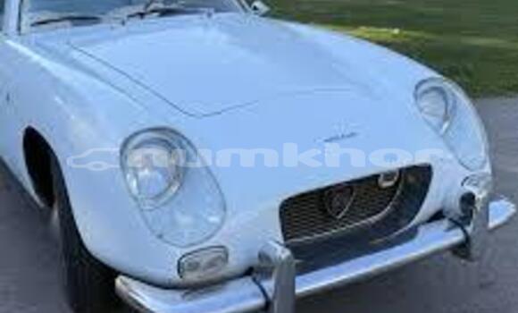 Buy Appia Zagato Sport Bumper in Damphu in Chirang Buy Appia Zagato Sport Bumper in Damphu in Chirang