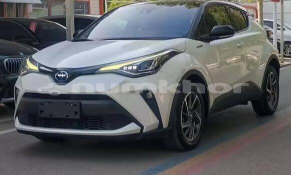 Buy Used Toyota C-HR White Car in Thimphu in Timphu