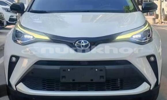 Buy Used Toyota C-HR White Car in Thimphu in Timphu Buy Used Toyota C-HR White Car in Thimphu in Timphu