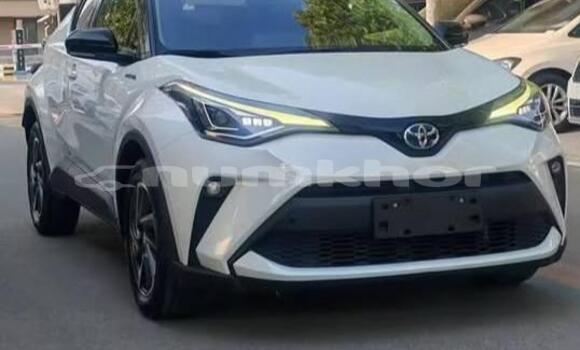 Buy Used Toyota C-HR White Car in Thimphu in Timphu Buy Used Toyota C-HR White Car in Thimphu in Timphu