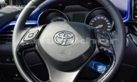 Buy Import Toyota C-HR Other Car in Import - Dubai in Bumthang Buy Import Toyota C-HR Other Car in Import - Dubai in Bumthang